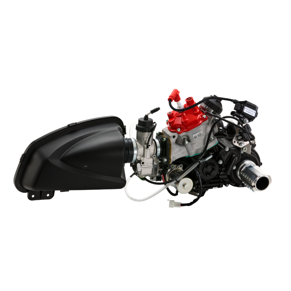 ROTAX ENG 125 MAX DD2 EVO